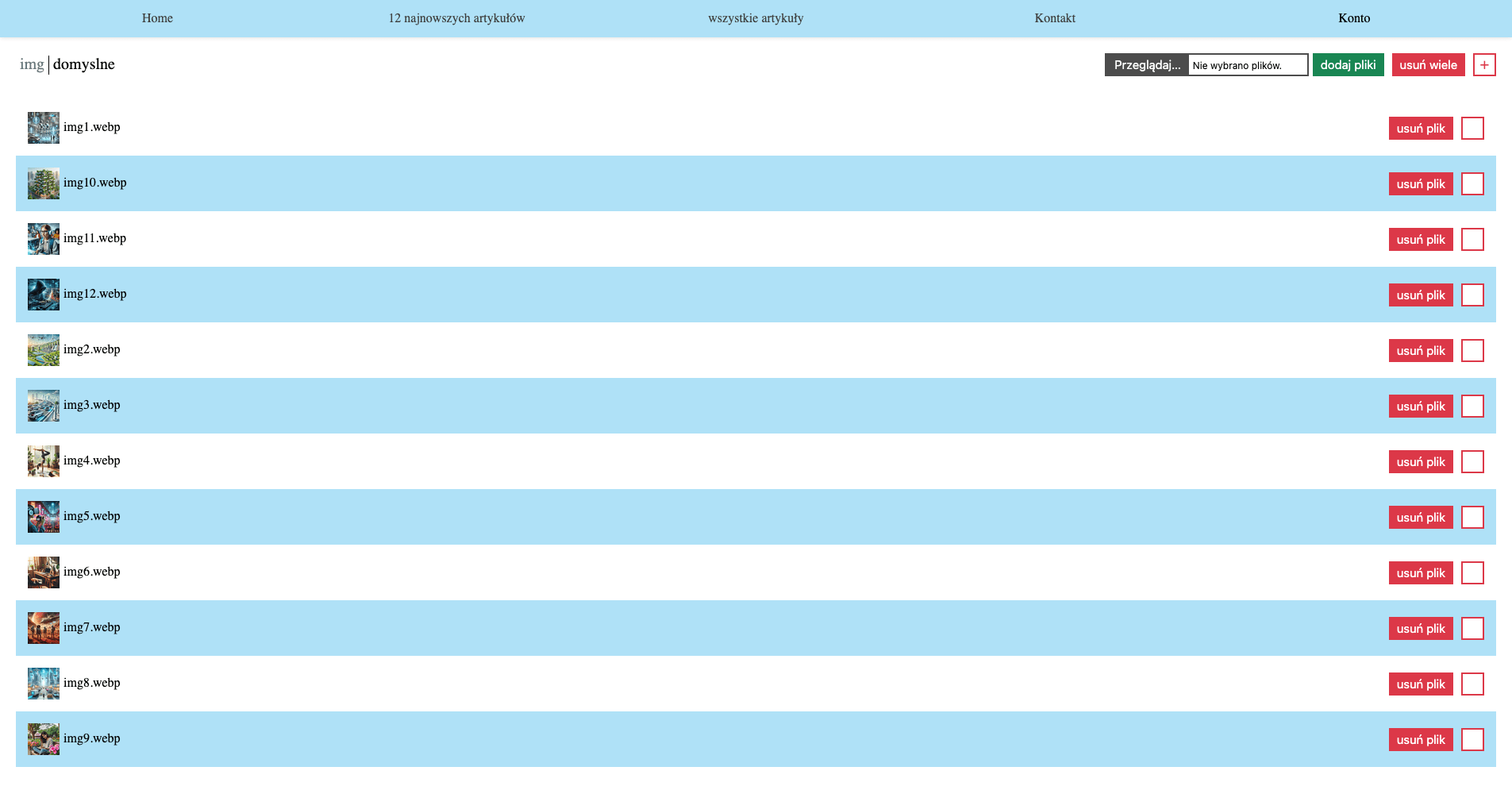 zdjecie pokazujące projekt