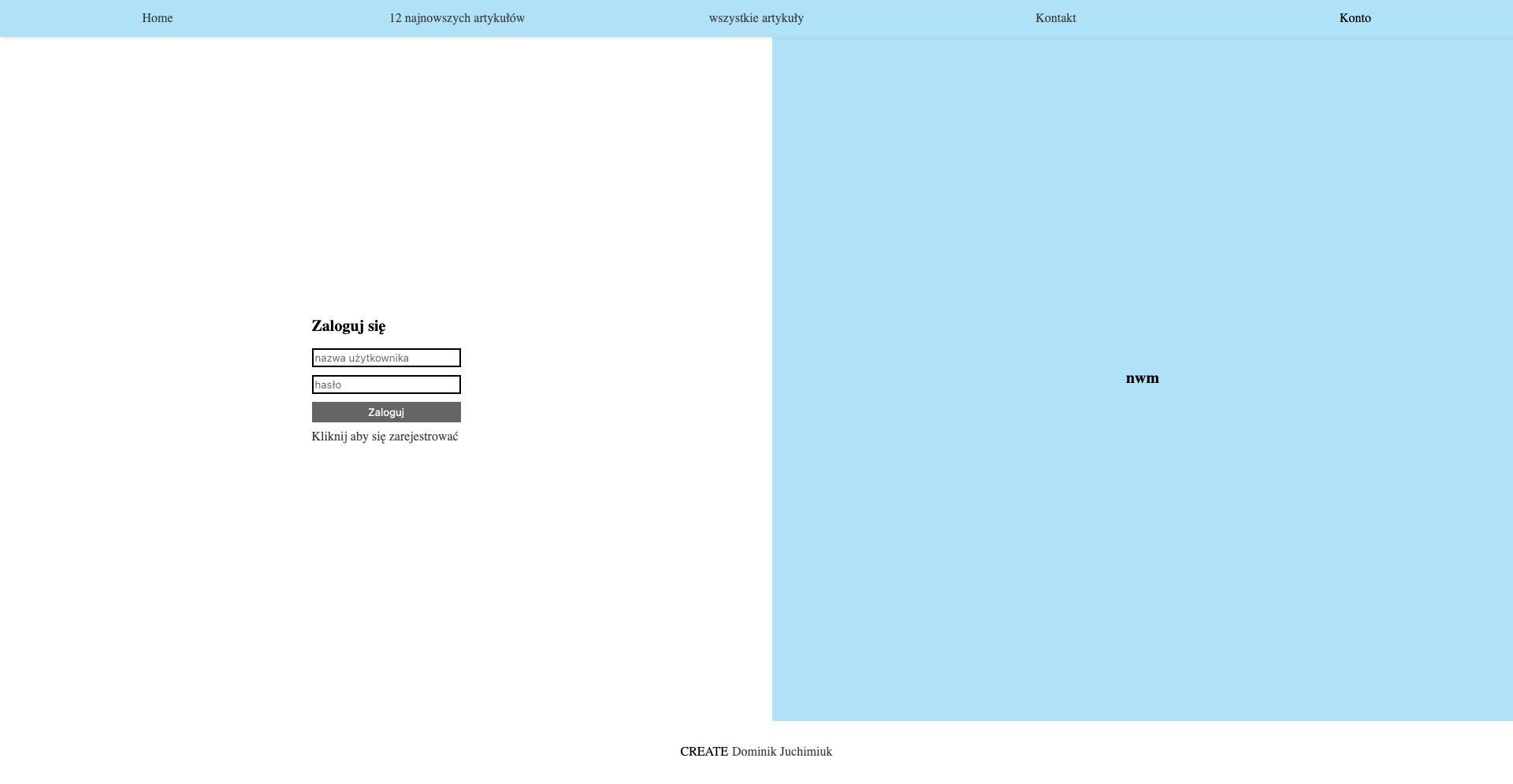 zdjecie pokazujące projekt