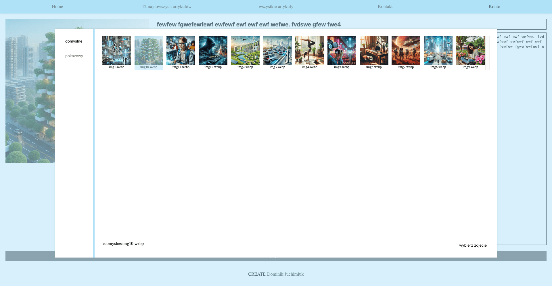 zdjecie pokazujące projekt