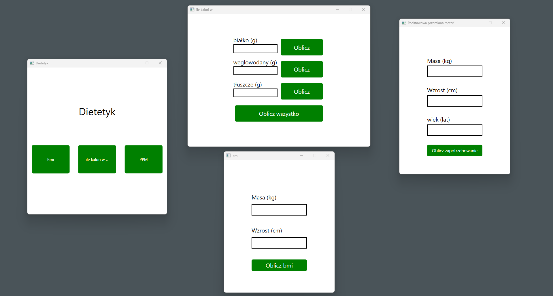 zdjecie ukazujące projekt