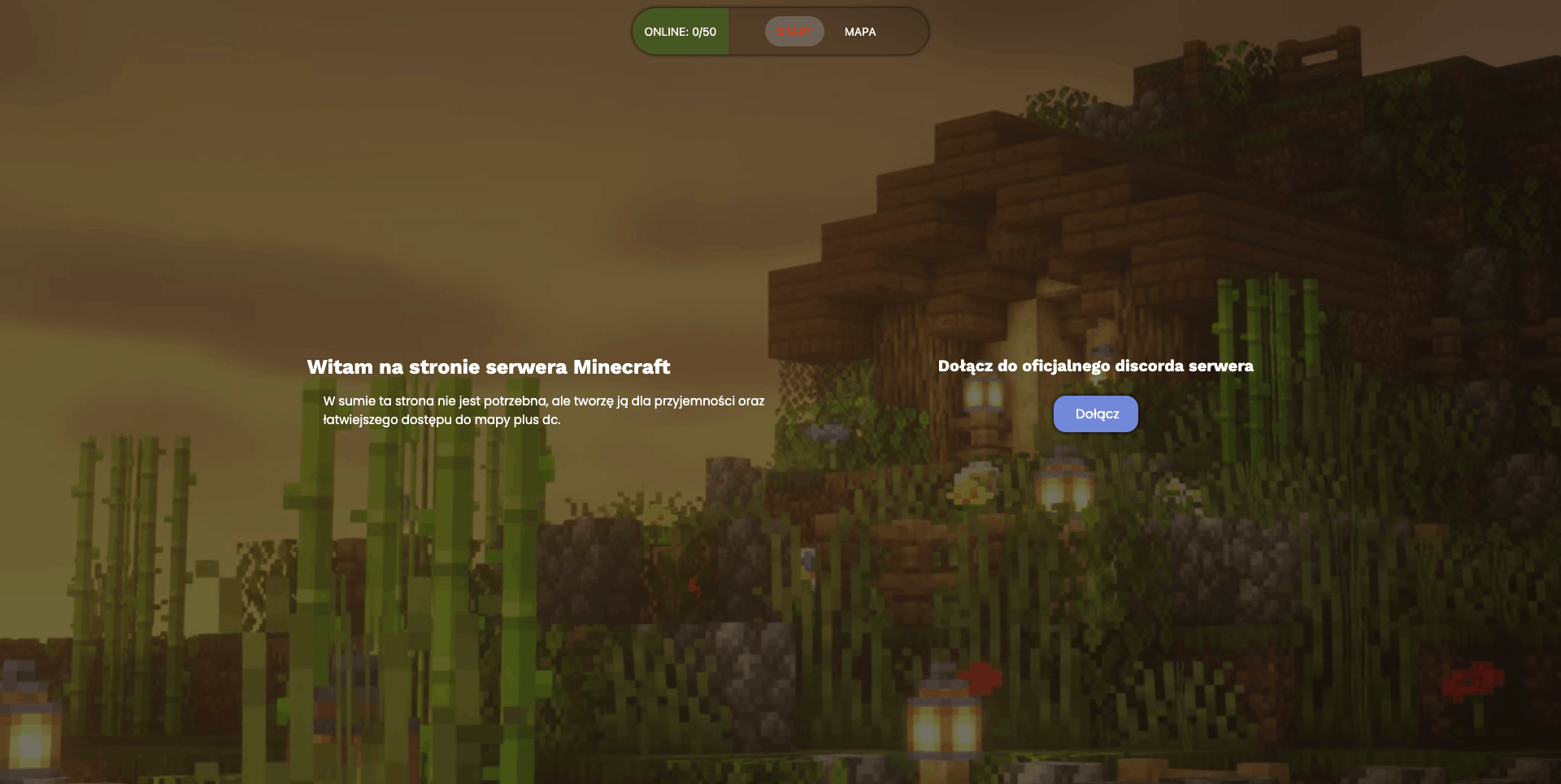 zdjecie ukazujące projekt